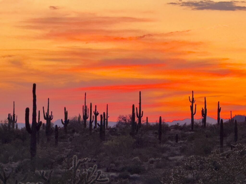 Experience Scottsdale Through Social Media