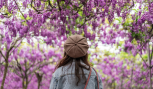Hotels Social Media Spring Travel
